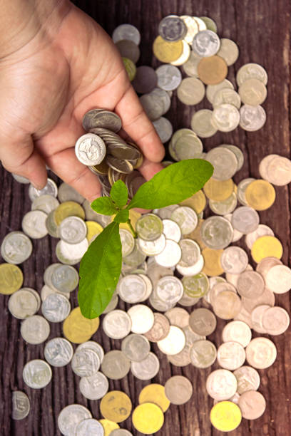 istock Trees with money, saving money and growing hands. 1150776521