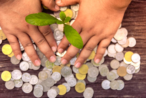 istock Trees with money, saving money and growing hands. 1150776525