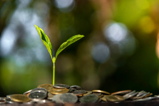 istock Trees with money, saving money and growing hands. 1150776527