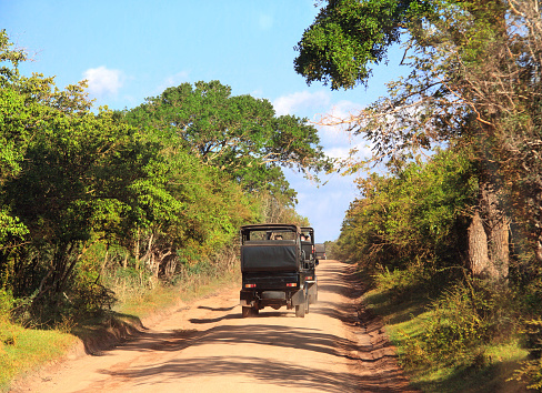 Car safari in Yala National Park. Tourists in cars on the dusty road. Sri Lanka