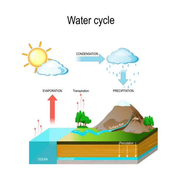 Vector illustration of Water cycle in nature environment