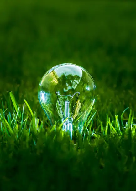 Photo of Light bulb on the gree grass. Nature and energy saving