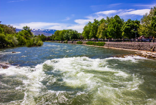 Truckee River Along River Walk Rapids On Rushing Truckee River Along River Walk truckee river photos stock pictures, royalty-free photos & images