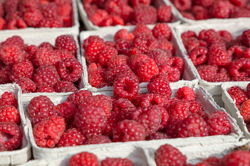 Close up fresh red raspberry berries in paper container on retail display of farmers market, high angle view