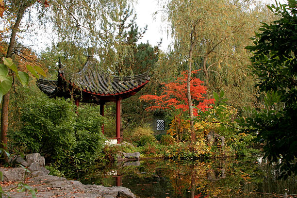istock Pagoda in Chinese garden 115078456