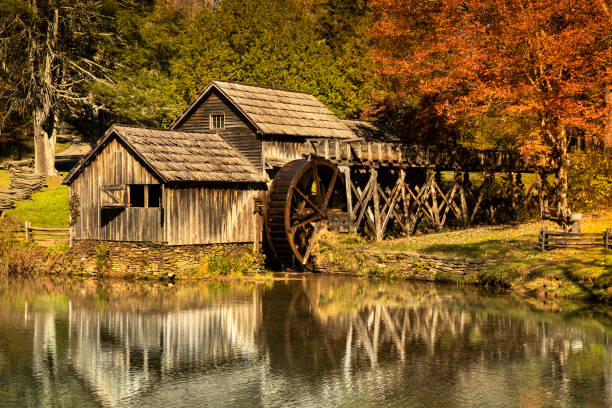 Beautiful landscape on wood