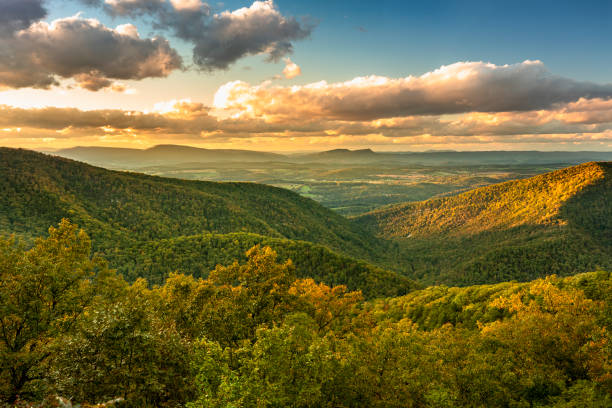 Blue Ridge Mountains scenic vista view Tree covered hills of the Blue Ridge Mountains in North Carolina USA great smoky mountains national park photos stock pictures, royalty-free photos & images