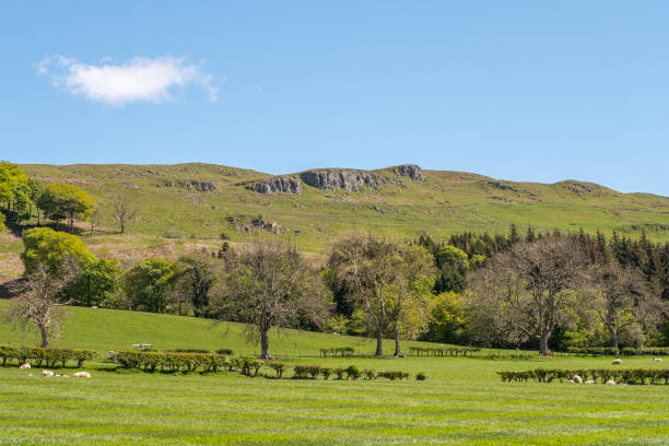 istock Beautiful Hillside behind Largs in Scotlands West  Coast 1150786837