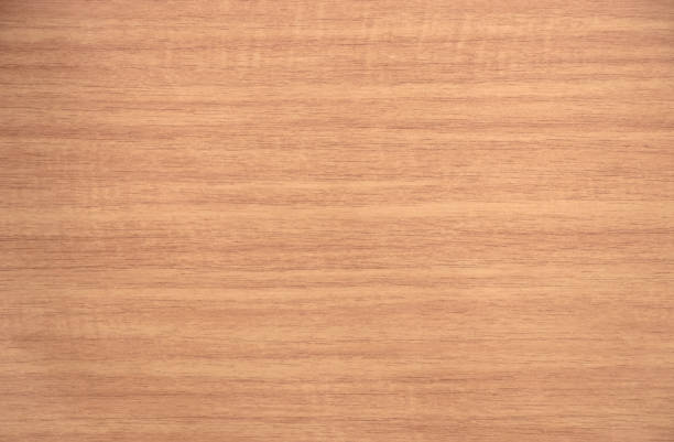 istock old Oak wood background texture 1150786900