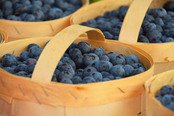 istock Close up fresh blueberry on retail display 1150789588