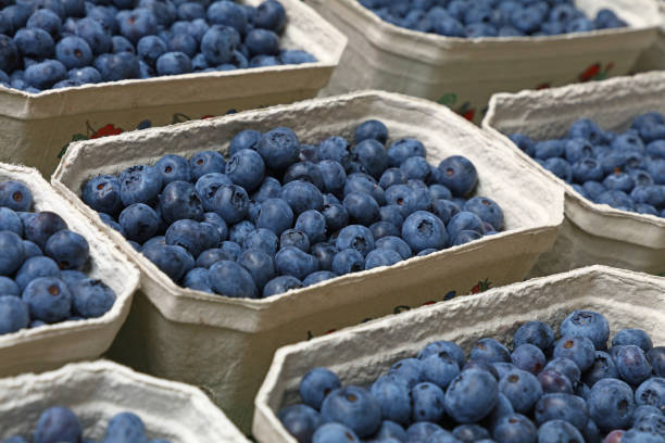 istock Close up fresh blueberry on retail display 1150789722