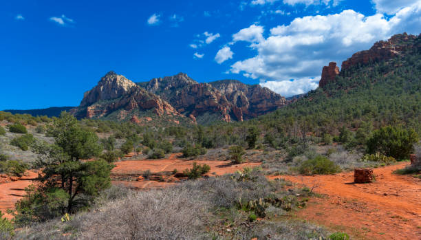 istock Sedona Red Rocks 1150790676