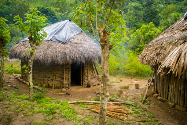 istock Indigenous Colombian native huts in the jungle 1150790856