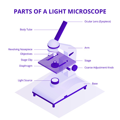 Microscope isometric illustration with light microscope parts infographic elements isolated on white background