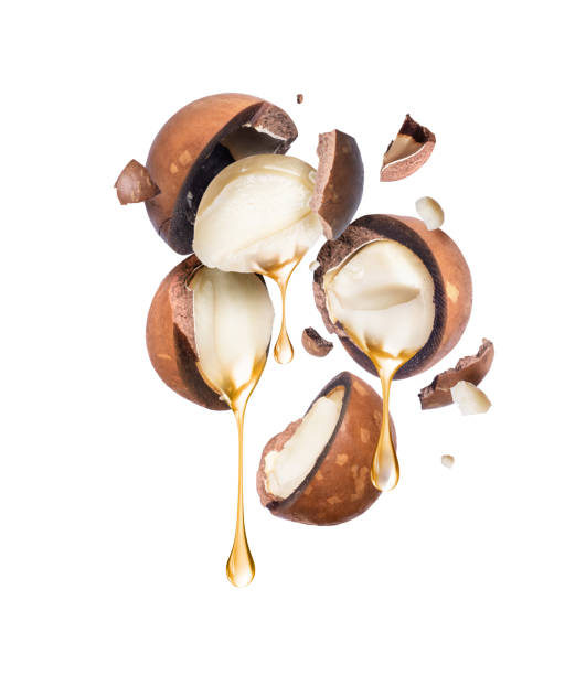Oil dripping from crushed macadamia nuts on a white background. Oil dripping from crushed macadamia nuts on a white background. argan tree stock pictures, royalty-free photos & images