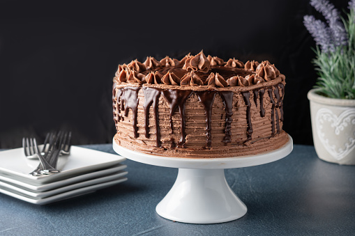 A delicious chocolate fudge layer cake isolated on a pure white background. Available in 7 sizes from XSmall to XXXLarge.