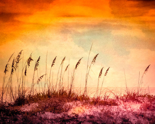 istock Textured Beach Scene - Sea Oats at Sunset with Dramatic Cloudy Sky 1150802022