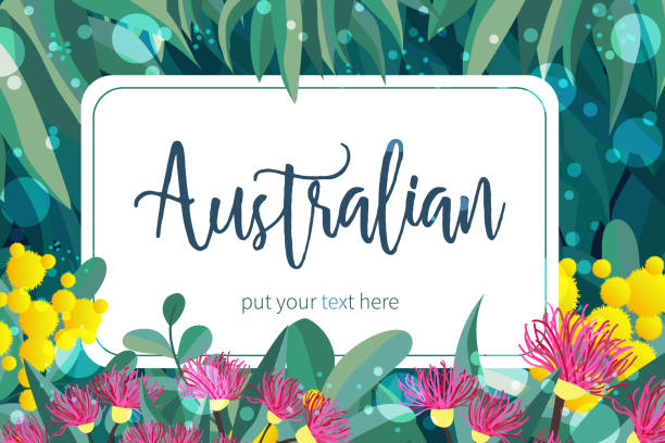 ilustrações de stock, clip art, desenhos animados e ícones de tropical austalia design vector leaves and flowers - eucalyptus tree tree australia tropical rainforest