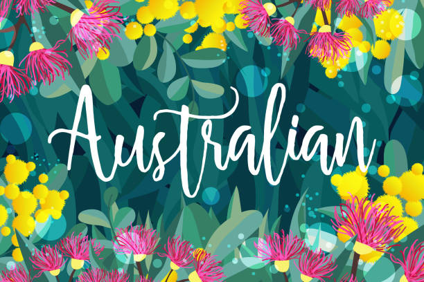 ilustrações de stock, clip art, desenhos animados e ícones de tropical austalia design vector leaves and flowers - eucalyptus tree tree australia tropical rainforest