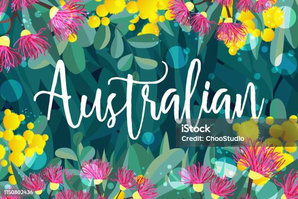 Austal Vector Tropical Austalia Design Vector Leaves And Flowers Stock Illustration ...