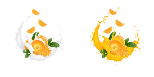 Vector illustration of Fresh 3d realistic orange slices with juice milk yogurt splash drops isolated on a white background. Packaging template. Realistic organic fruit dairy product.