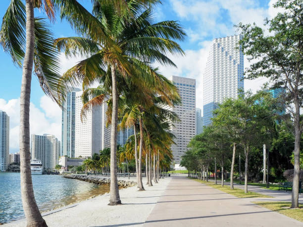 istock bayfront park, downtown miami, florida 1150803536