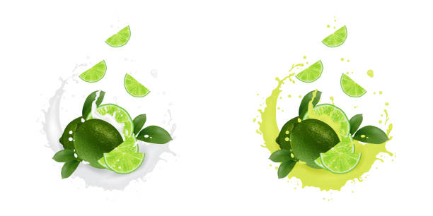 istock Fresh lime with realistic splash   illustration. Falling slices in juice, milk, chocolate. 1150803571