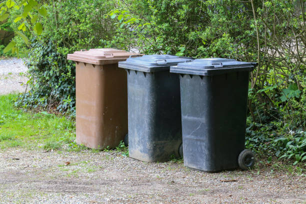 istock Black and brown garbage cans are on the street 1150805139