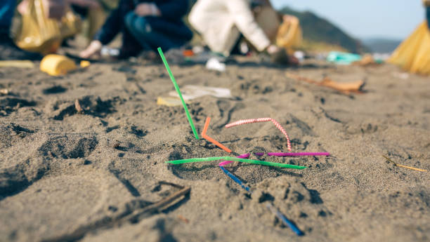 Straws on the beach stock photo