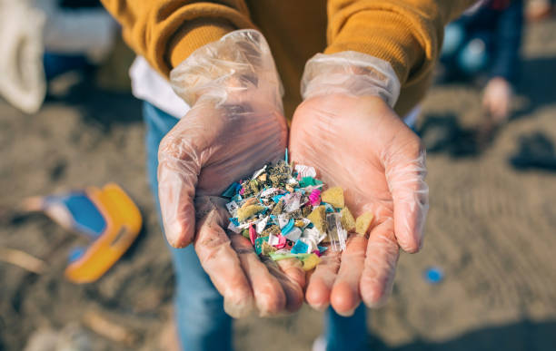Hands with microplastics on the beach stock photo