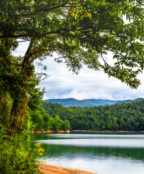 istock Mountain Lake with Trees and Wildflowers 1150806013
