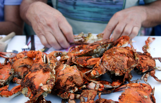 Fresh steamed crabs, served at a restaurant by the dozen. Maryland, on the Chesapeake Bay.