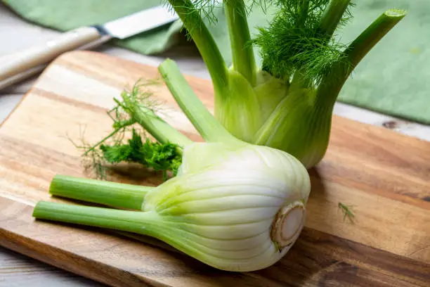 Healthy vegetable diet, raw fresh florence fennel bulbs close up