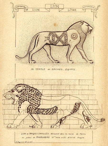 255 Egyptian Lion Illustrations & Clip Art - iStock