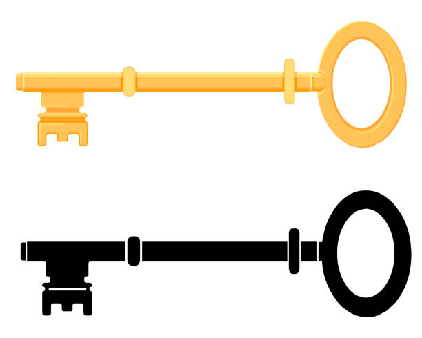 ключ - skeleton key stock illustrations