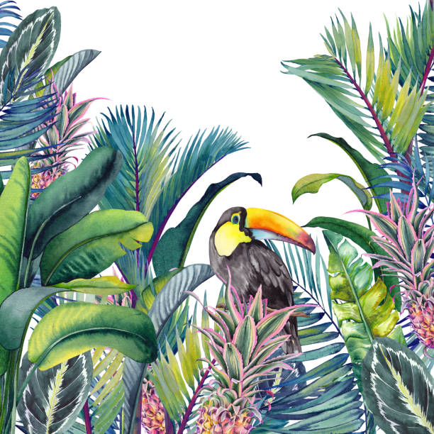 Tropical card with Toucan, palm trees, pineapples, banana and calathea leaves. Tropical card with Toucan, palm trees, pineapples, banana and calathea leaves. Watercolor illustration on white background. zebra plant stock illustrations