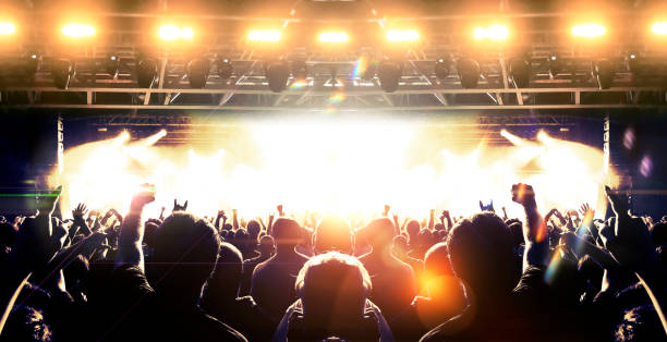 istock Music festival crowd 1150828110