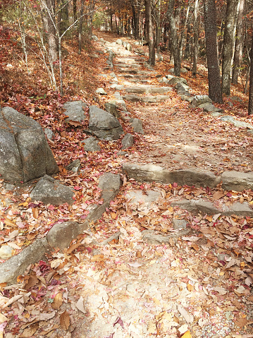 Red paint blazes mark the Tower Trail at Fort Mountain State Park in the Appalachian Mountains range of North Georgia USA. Rocks and stones make the footpath hiking trail easier to walk on.