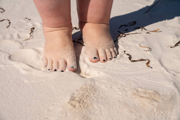 istock Woman's feet on the sandy beach 1150834953