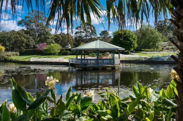 Tropical park with summerhouse near the pond and lush green trees and flowers. Wollongong Botanic Garden