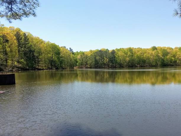 istock Calm on the lake 1150838559