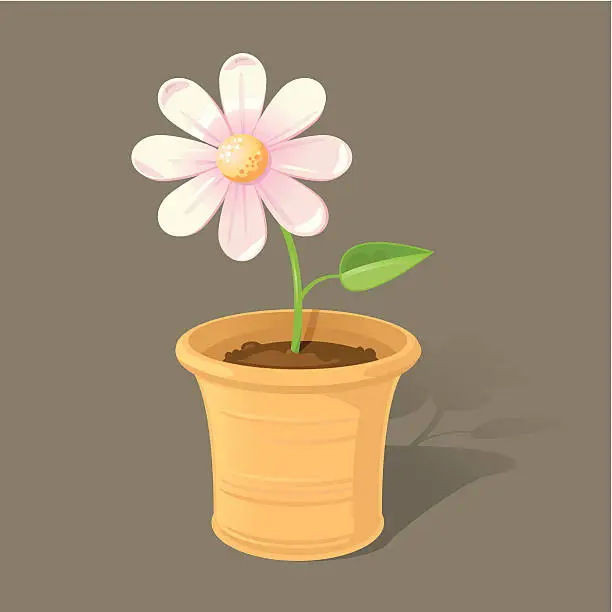 Vector illustration of Pink Flower in Pot