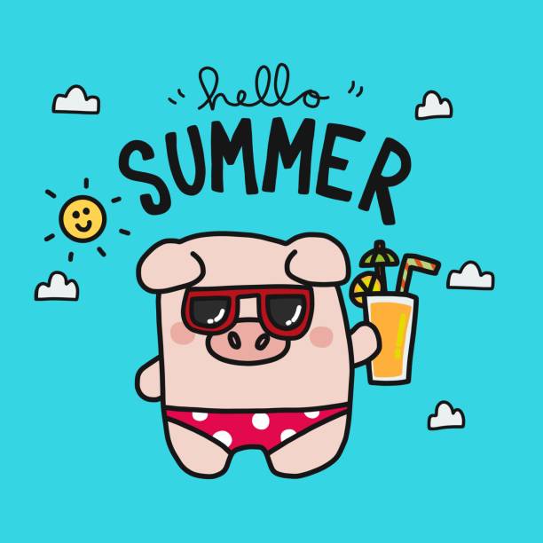 안녕하세요, 여름, 돼지, 착용 비키니, 만화 벡터 일러스트 - pig currency savings piggy bank stock illustrations