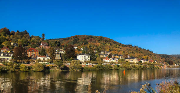 istock The Neckar river in Heidelberg 1150842407