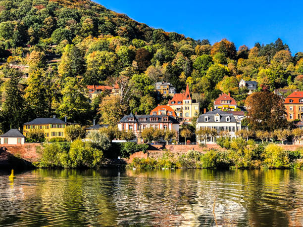 istock The Neckar river in Heidelberg 1150843586