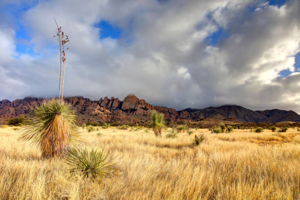 Dragoon Mountains in Southern Arizona The Dragoon Mountains are a range of mountains located in Cochise County, Arizona dragoon mountains photos stock pictures, royalty-free photos & images