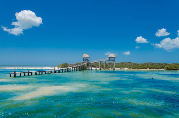 Isla de los Pajaros view from the sea, in Holbox, Mexico