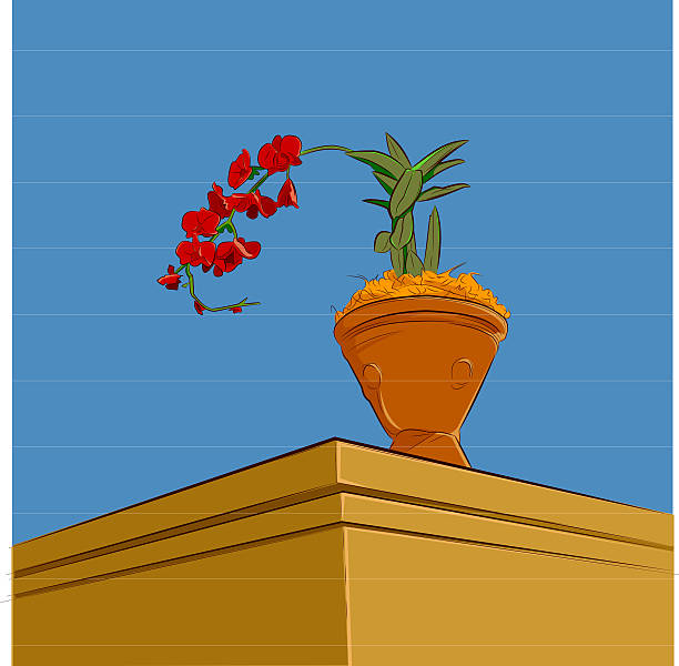 flower - red orchid in a vase vector art illustration