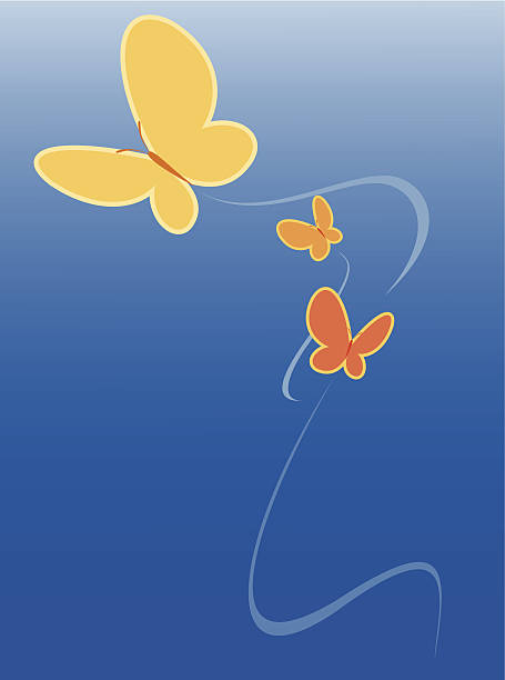 butterfly dance vector art illustration