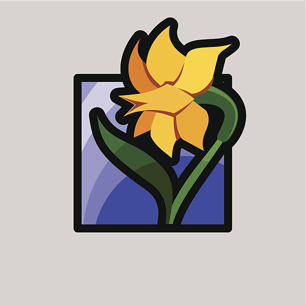 icons for spring - daffodil vector art illustration